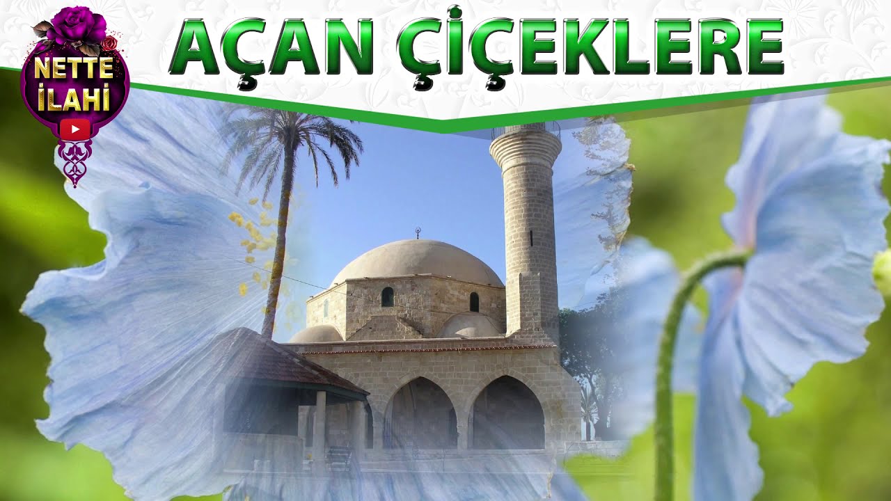 Ramazan Ayına Özel 3 Güzel İlahi | Hayırlı Ramazanlar I Nette İlahi