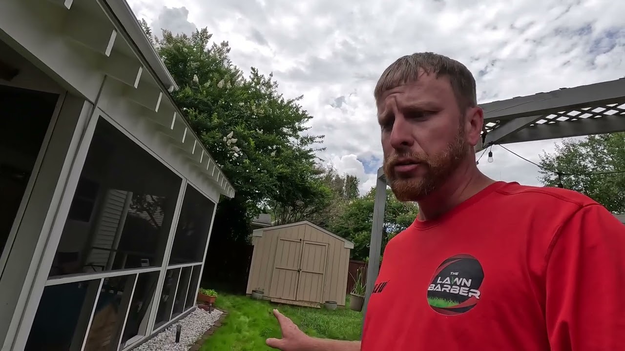 Pennington Contractor Mix&hellip;Does It Grow?? Pt. 2🌱🌱 #lawncare