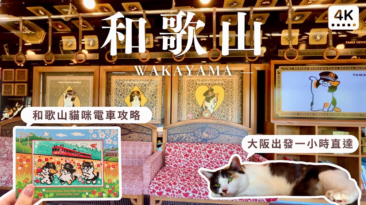 關西和歌山半日遊｜貓咪電車搭車攻略、小玉博物館豪華列車、推薦交通票券、貓咪站長出勤時間｜日本大阪自助旅行自由行