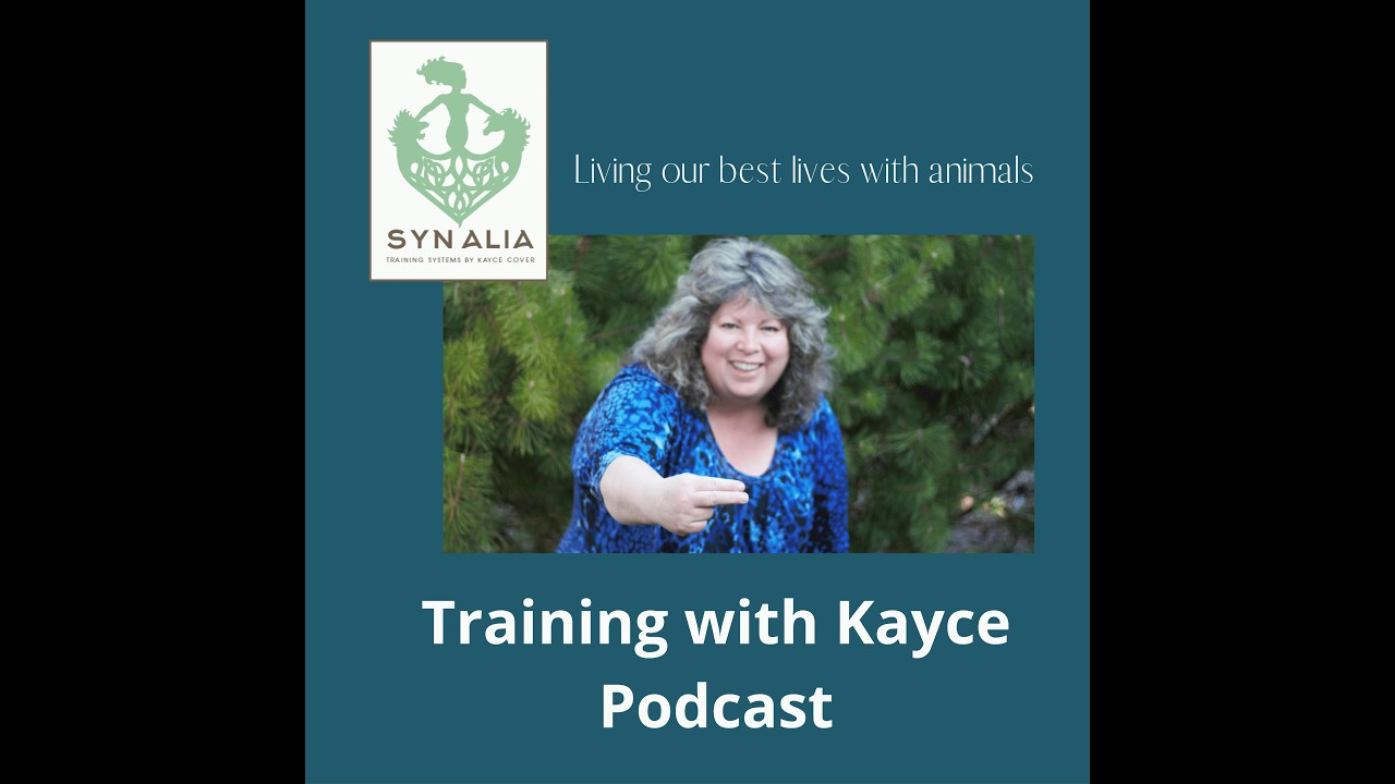 The Puppy Prep webinar trek