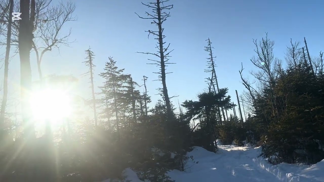 Polaris 570 in the snow 