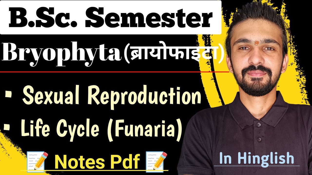 Life Cycle Of Bryophytes (Funaria) || Sexual Reproduction || Bsc Semester || By Dadhich Sir