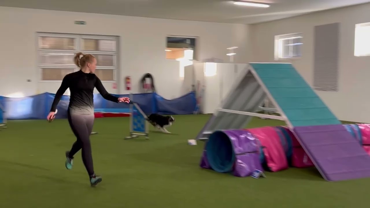 Agility camp with Sabča Šťastná | Drriwy