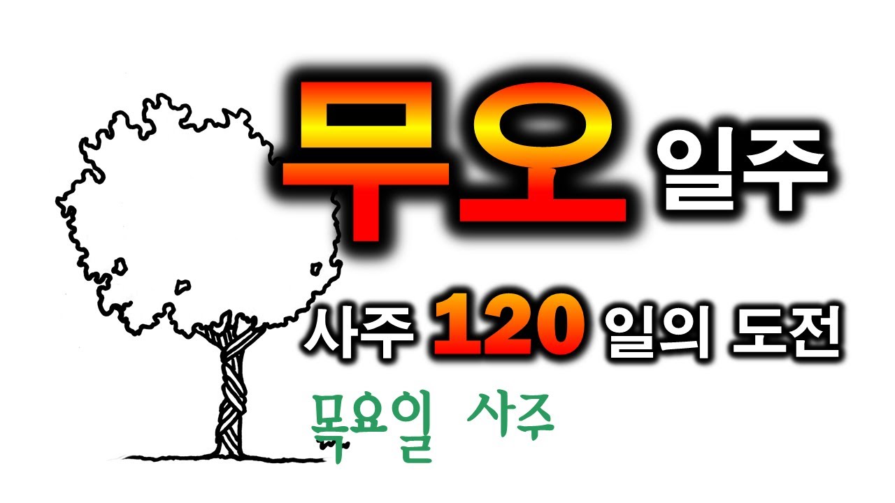 무오일주 한방정리(86일차)