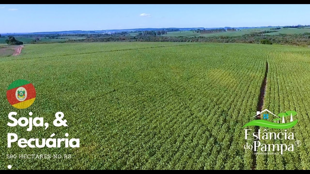 FAZENDA HISTÓRICA  À VENDA NO RS BRASIL