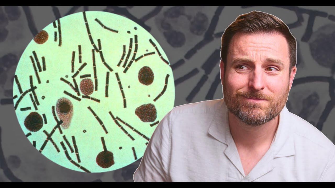 How Anthrax Changed Infectious Disease