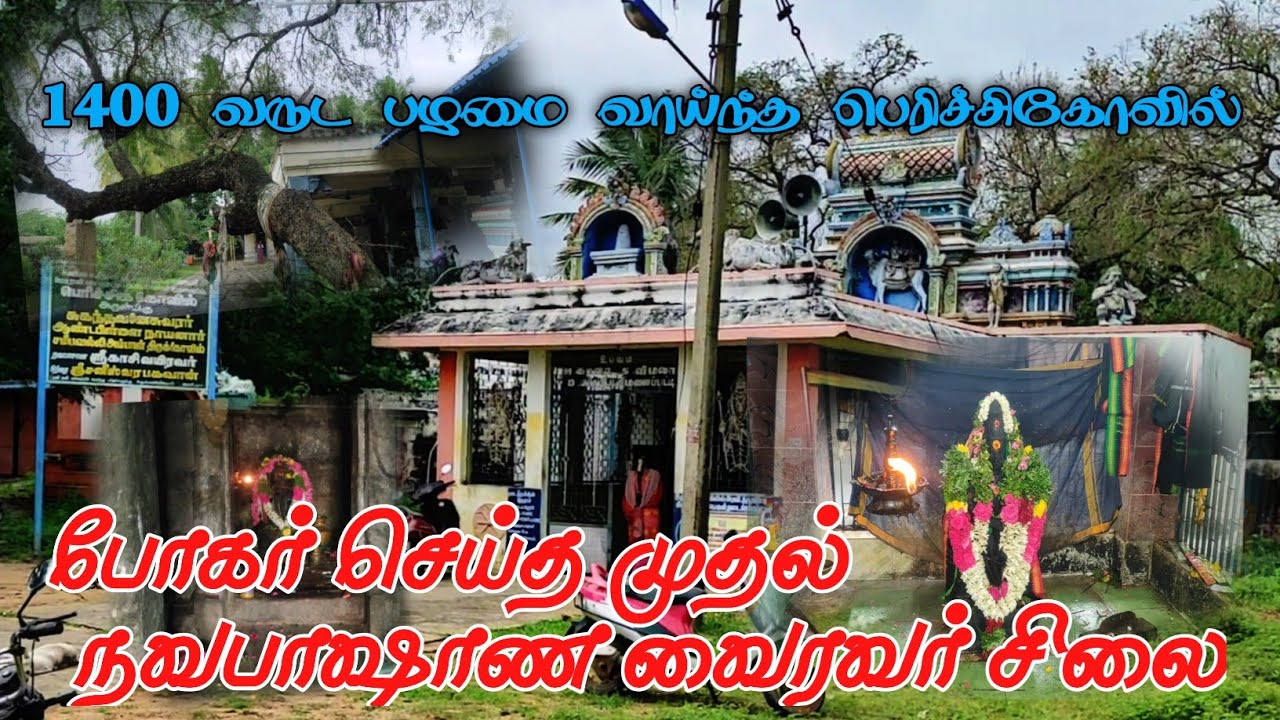 1400 வருட பழமை வாய்ந்த நவபாஷாண வைரவர் சிலை | Perichikovil Temple | Krishva Vlogs Tamil