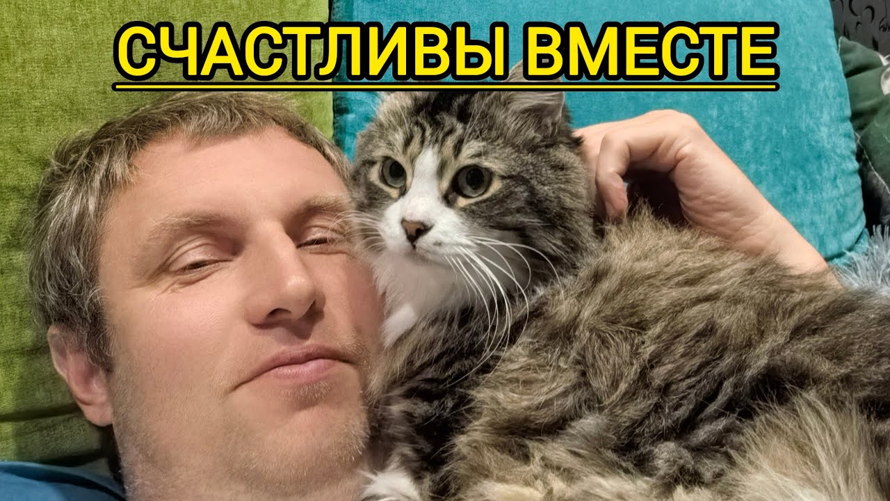 ЖИЗНЬ ОСОБЕННОГО КОТА
