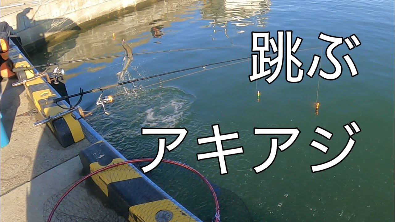 フカセ・浮きルアー・ブッコミ　３種類のアキアジ釣り
