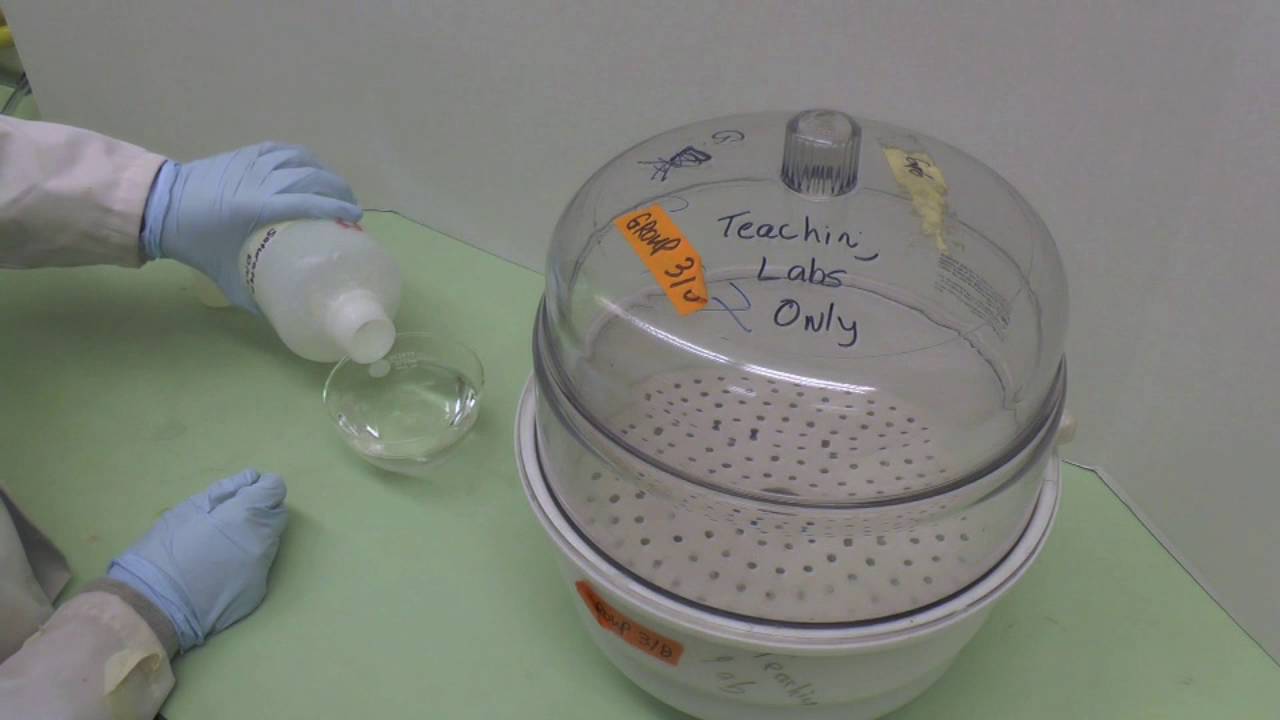 Vapour Transmission Study