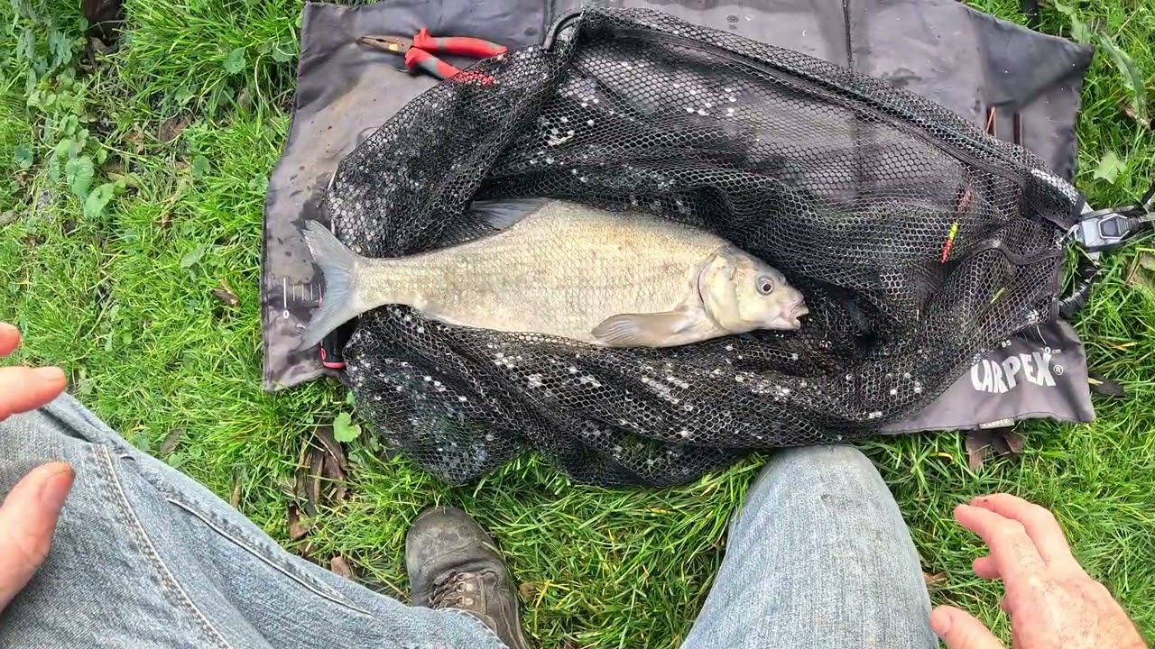 Fishing Adventure #202 (18 Vangsten)