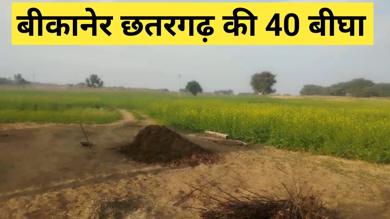 बीकानेर छतरगढ़ की 40 बीघा जमीन बिकाऊ। Bikaner ki bikau Jameen। Chhatargarh ki bikau jameen।#land