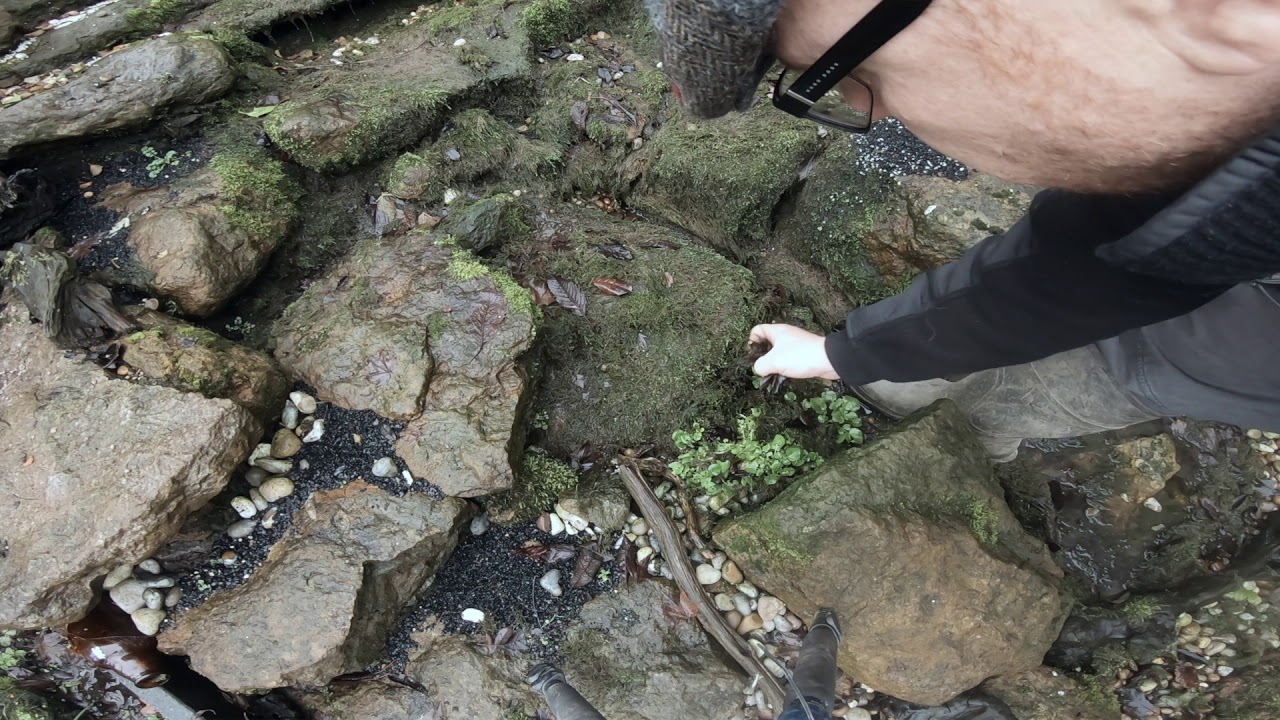 Pondless Waterfall Maintenance, Got algae in a water feature