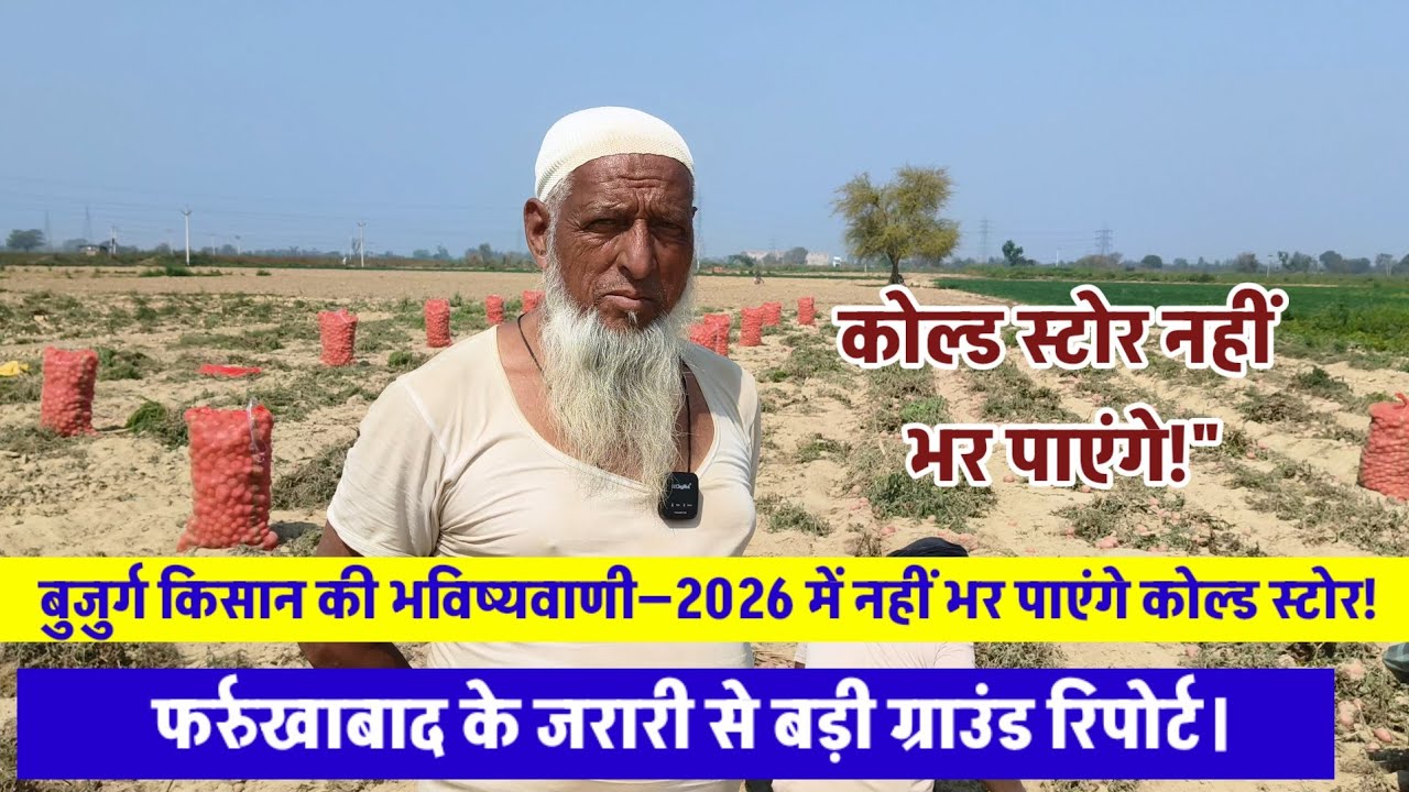 जरारी के बुजुर्ग किसान ने खोल दी पोल - 2026 में चमकेगा आलू। 🚨🥔📈