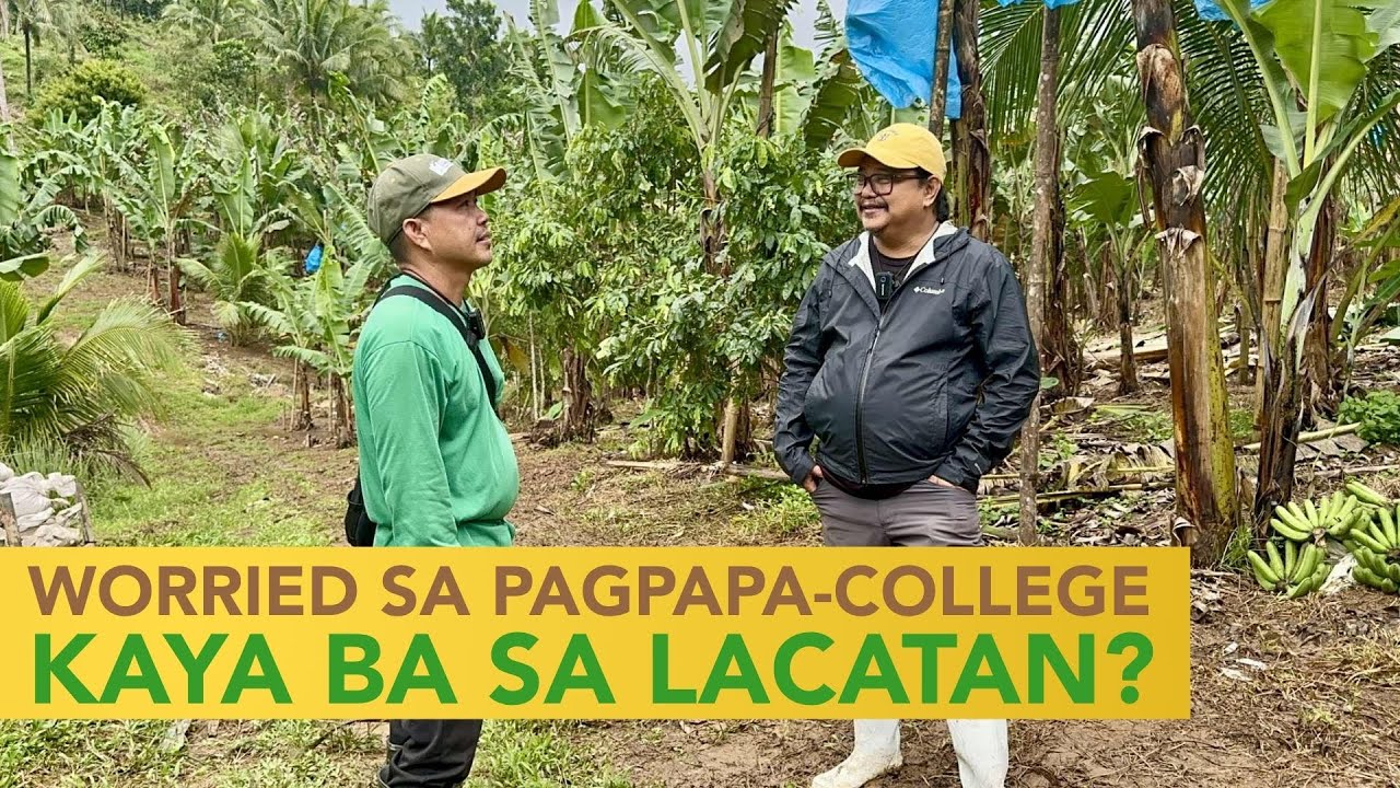 Worried sa Pagpapa-College ng mga Anak, Naisip mag Tanim ng Lacatan - Pero Kakayanin ba?