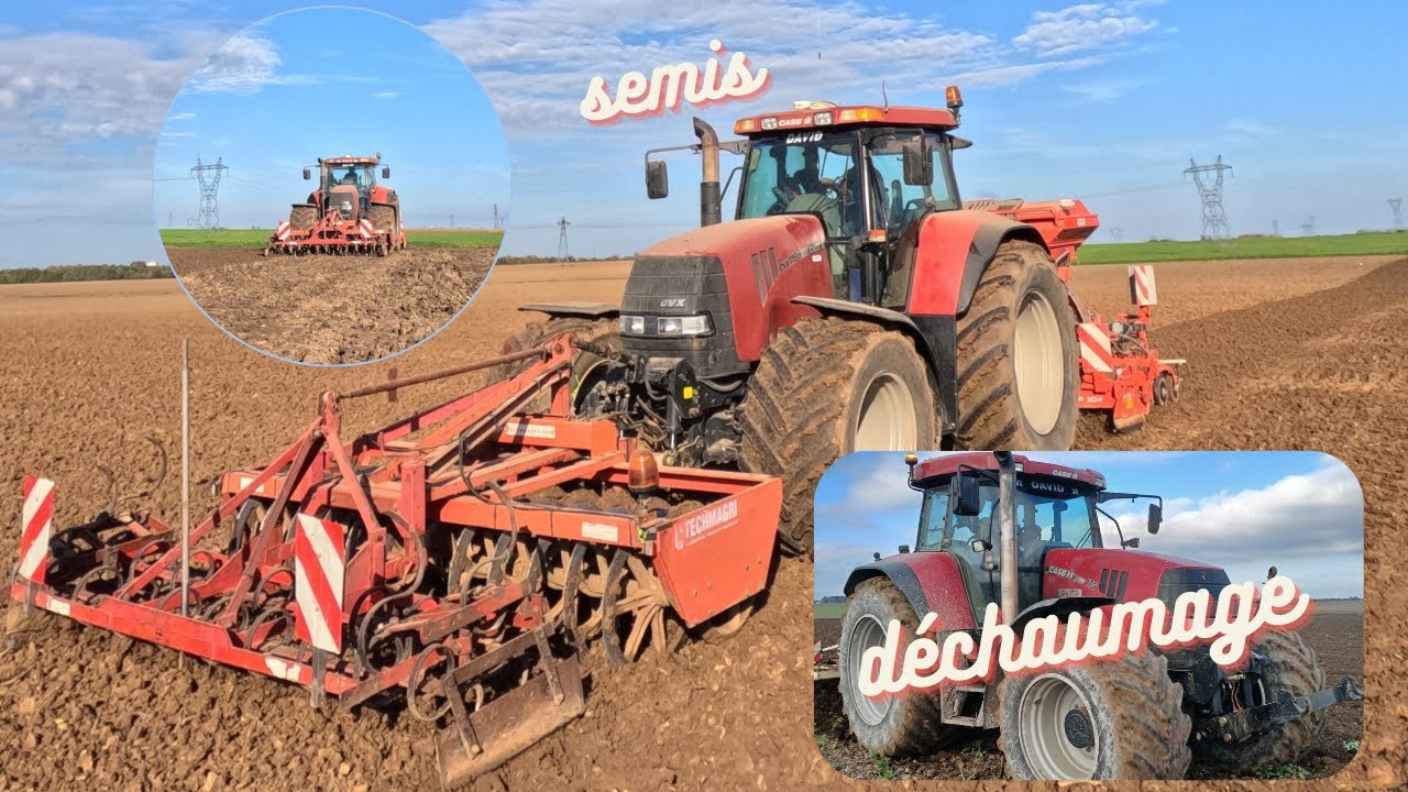 Déchaumage et Semis des blés