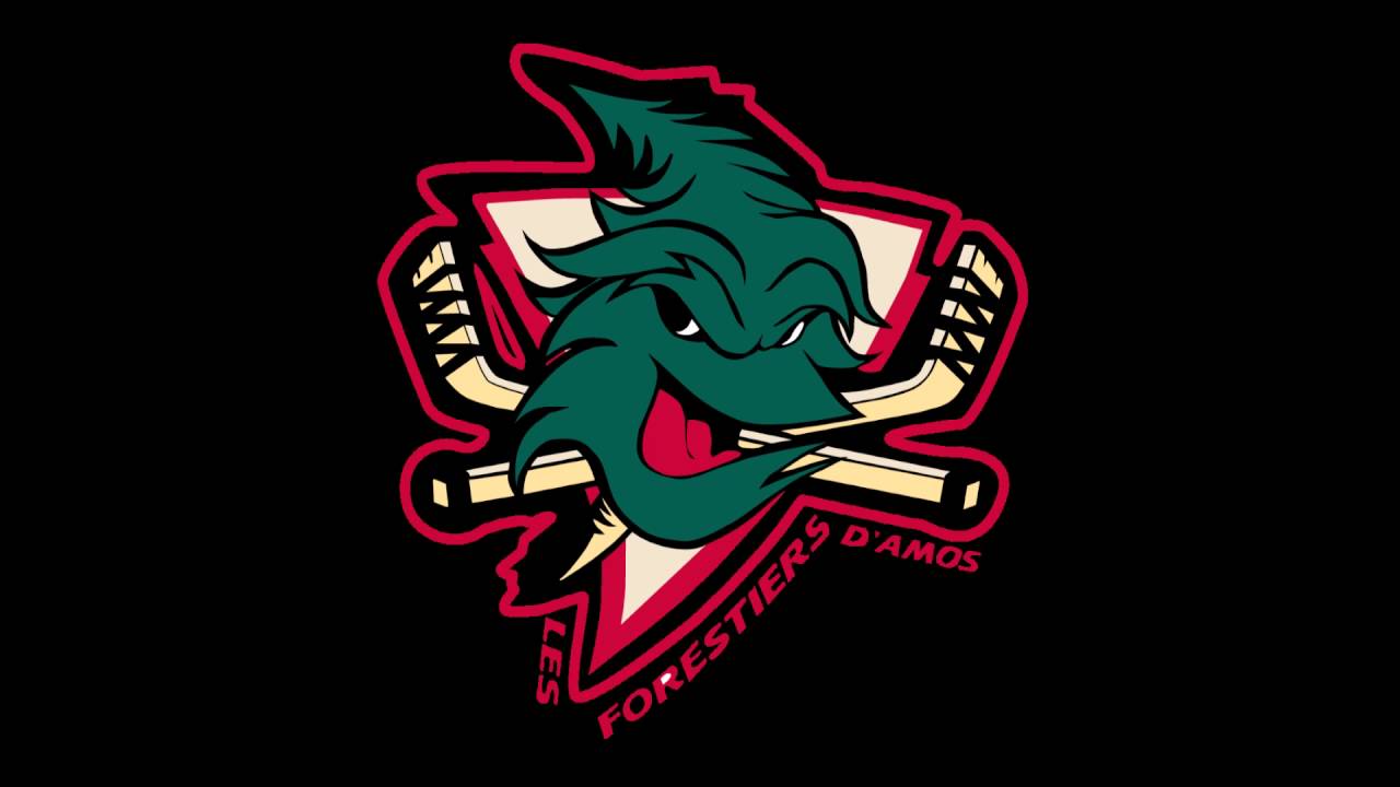 Hockey Warm Up Les Forestiers d'Amos, saison 2016-2017
