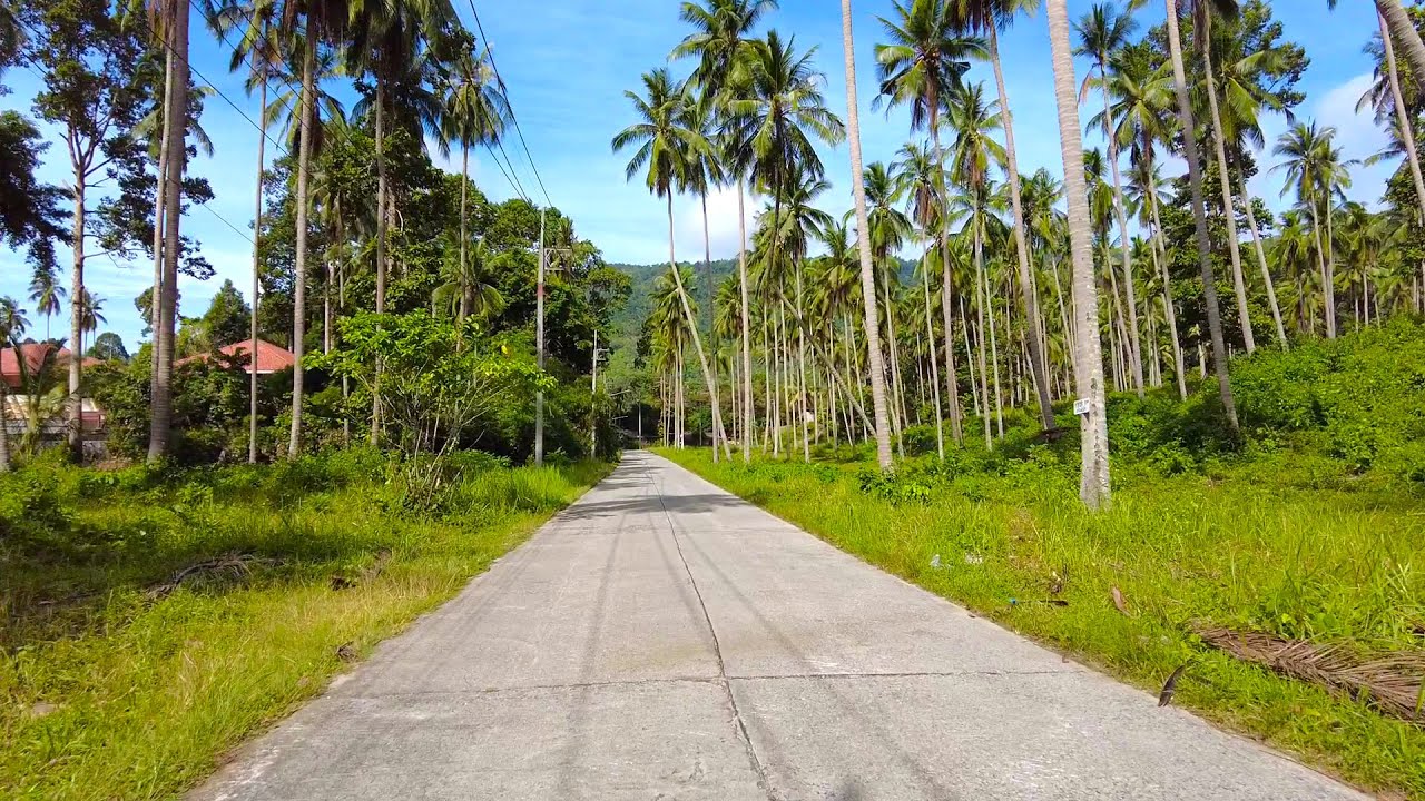 Shortcut to Lamai - Driving tour around Jungle | Koh Samui - Thailand 2021