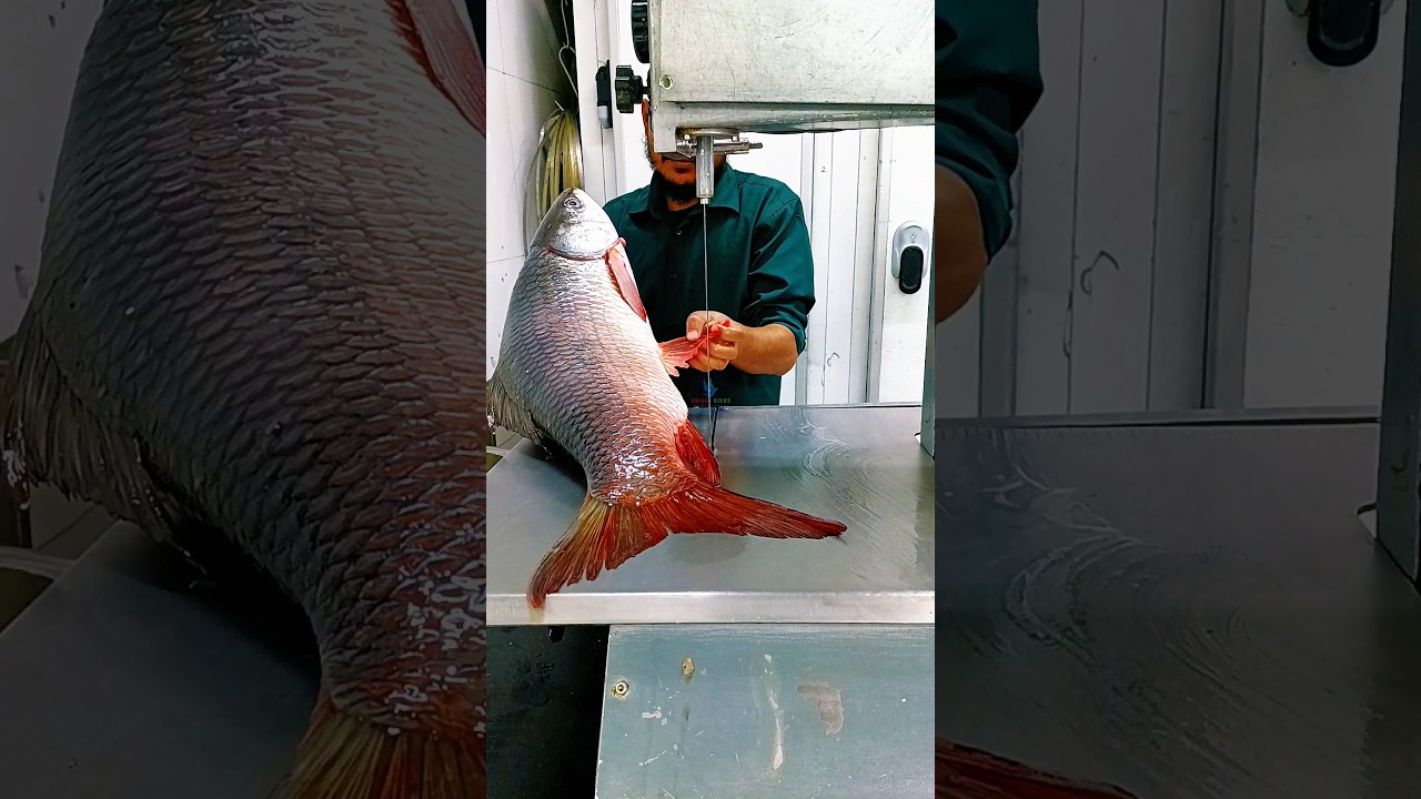 15 kg+ river giant Rohu fish amazing cutting skills video #youtubeshorts #shorts #shortvideo #viral