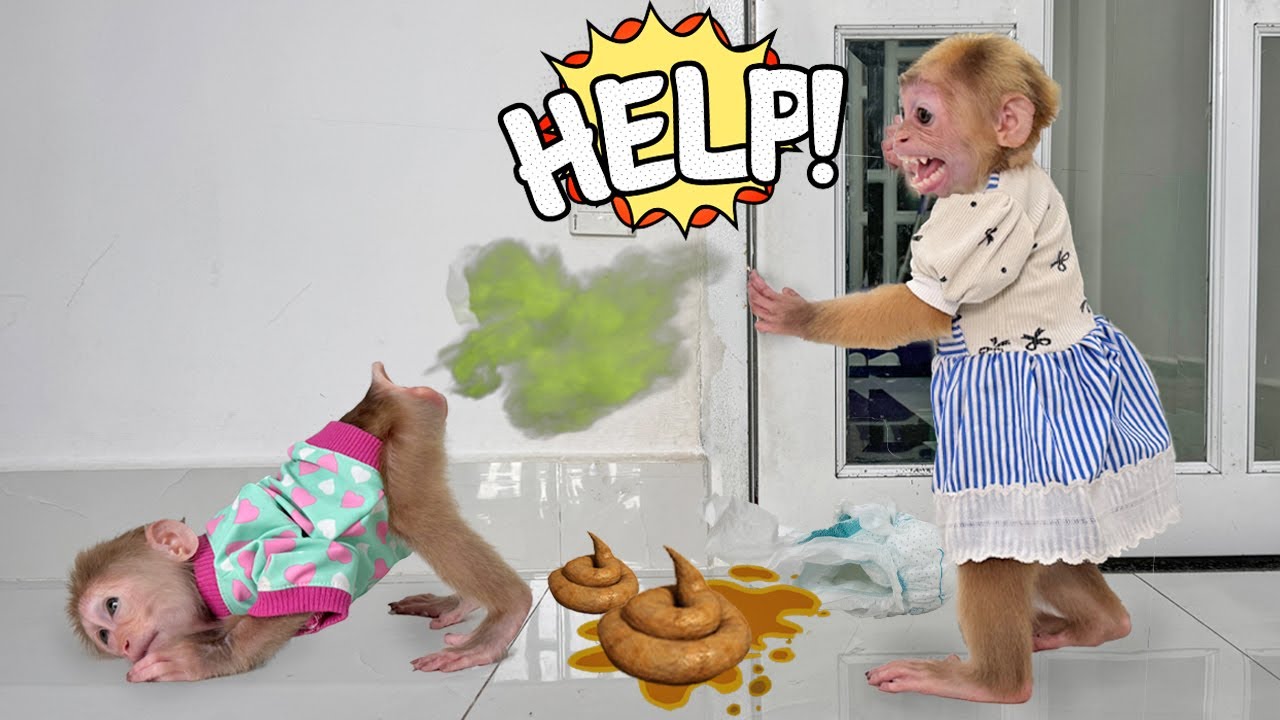 Lucky panicked & ran away after seeing Sunny poop messily on her, Watch till the end for a laugh!