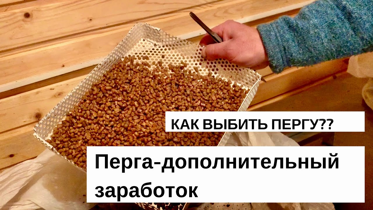 КАК ВЫБИТЬ ПЕРГУ?? ПЕРГА КАК ДОПОЛНИТЕЛЬНЫЙ ДОХОД.