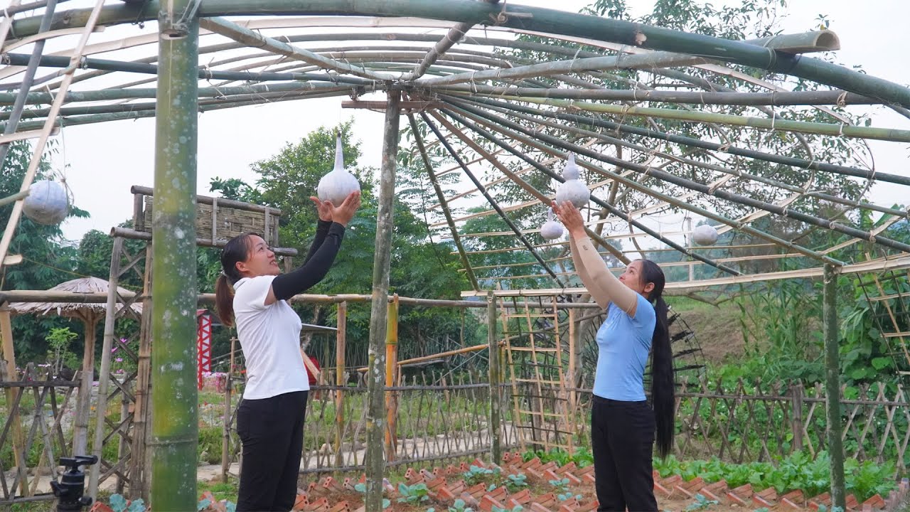 Build a Large Gourd Trellis - 180 Days Live with Nature, Building farm in off grid