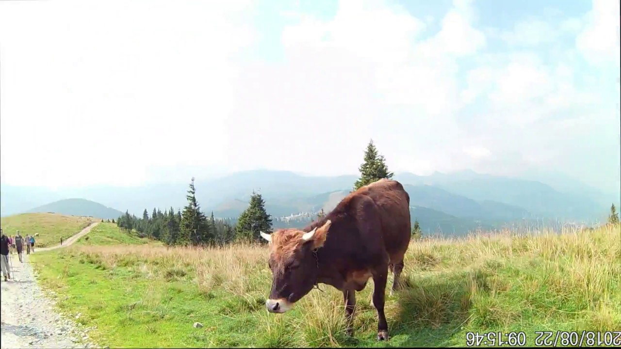 Padisz i Maramuresz 2018 Rumunia