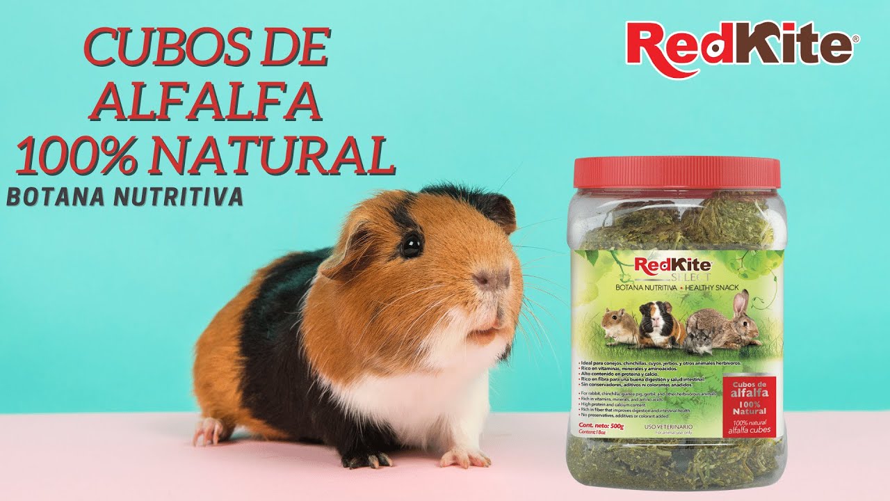 Cubos de Alfalfa para Pequeños Mamíferos | RedKite
