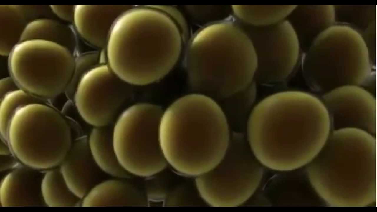 Mesoterapia para celulitis y p&eacute;rdida de volumen