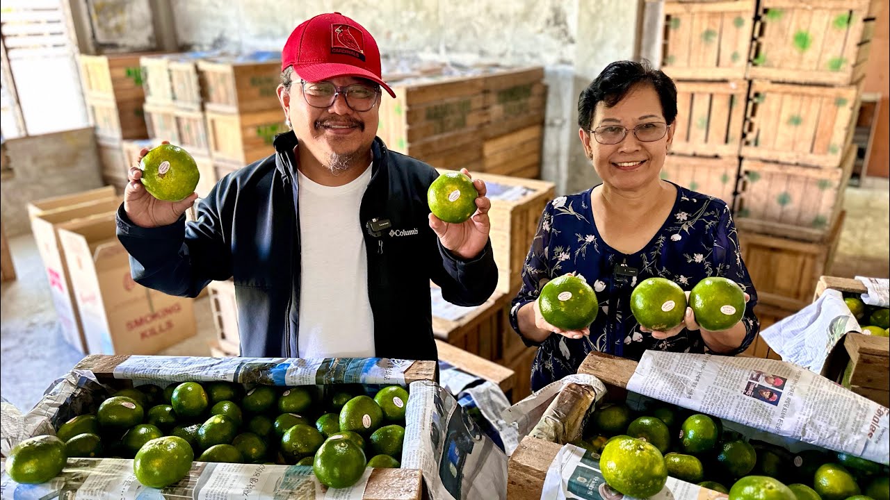15M Kita sa Citrus: The Secret Behind their Superior Fruits, The Preferred Choice of Buyers