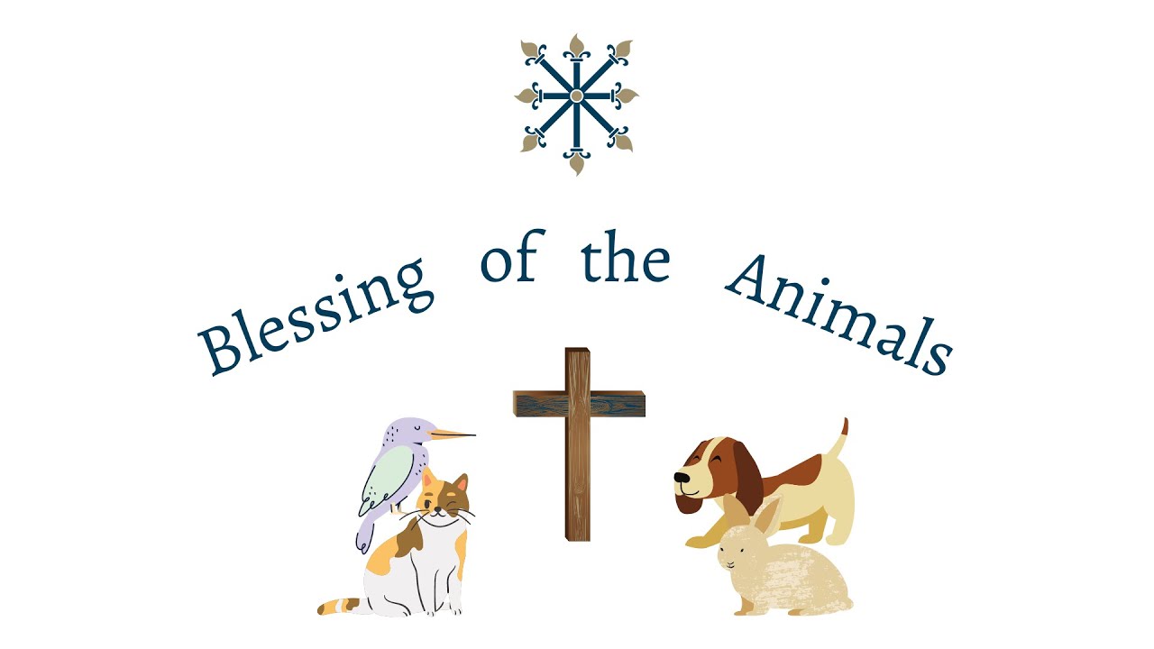 St. Martin's Blessing of the Animals 2021