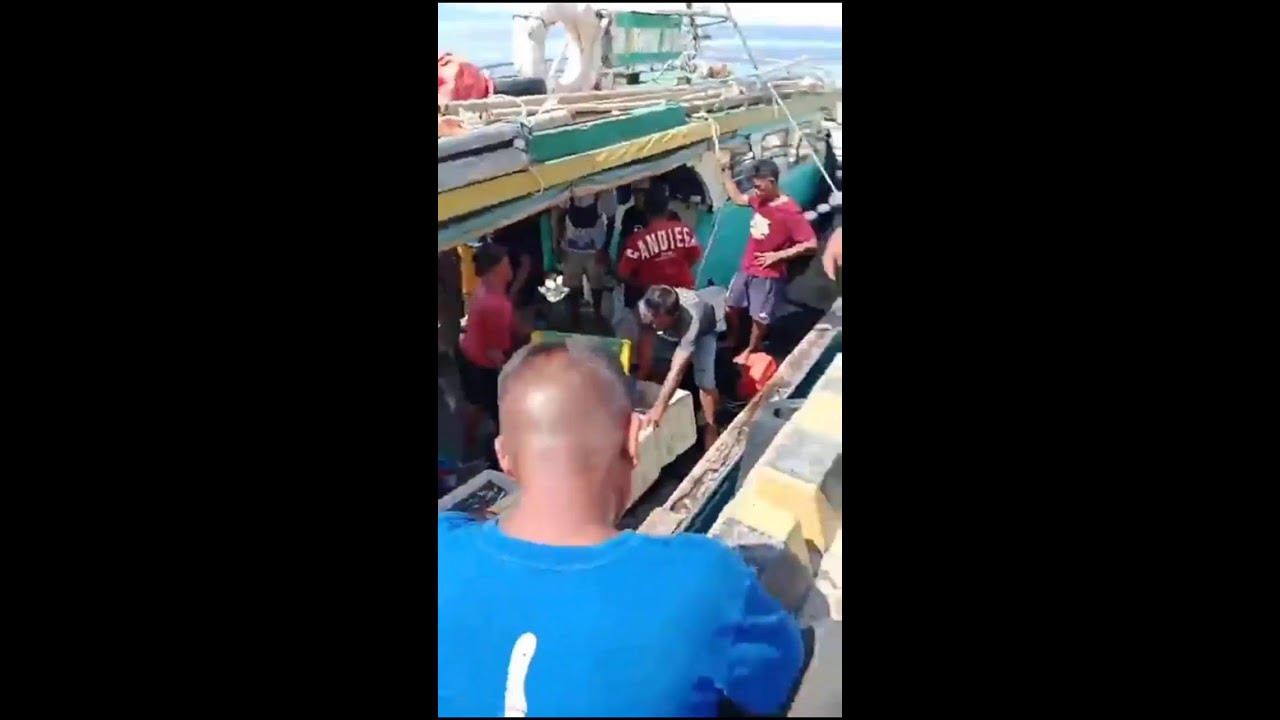 ikan