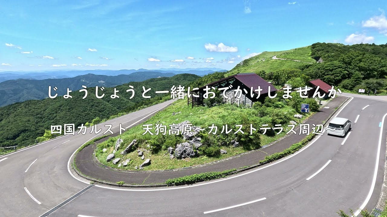 【四国カルスト#1】じょうじょうと一緒に四国カルスト天狗高原 カルストテラス周辺へおでかけしませんか