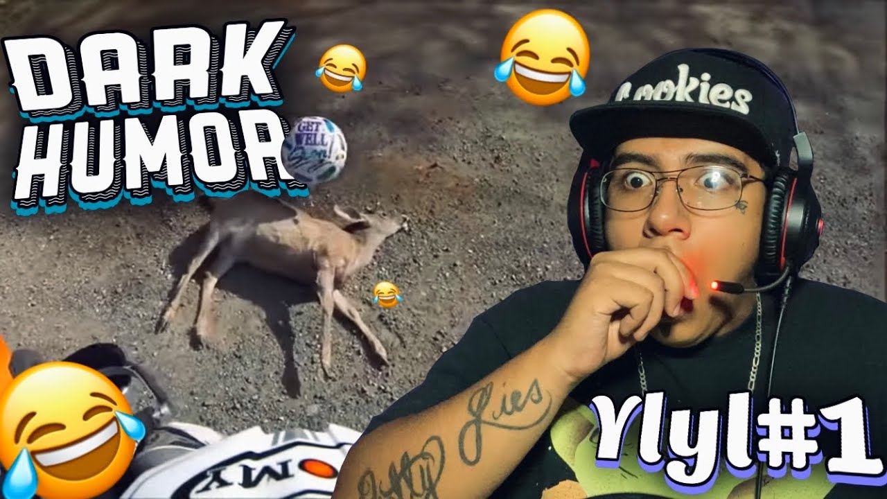 POOR BAMBI! 😭