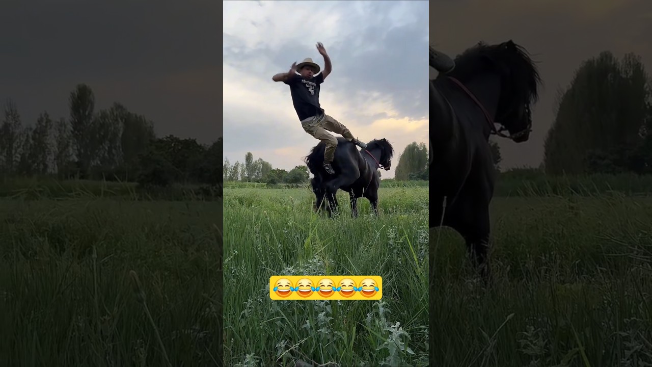 PE&Atilde;O ABEIA CAINDO DO CAVALO KKKKKKKK #engra&ccedil;ado #ria #cavalo #funny