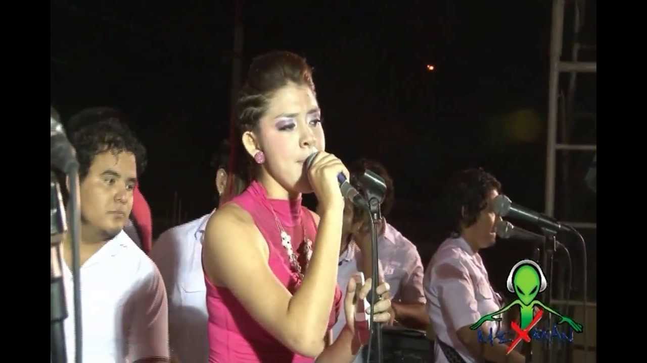 amor ilegal la unica tropical HD