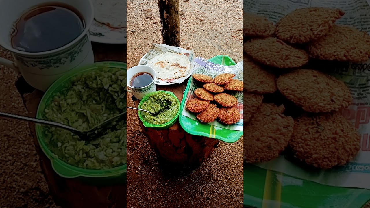 A Tasty Travel Adventure 🚵: Discovering Traditional Sri Lankan Food🥞☕