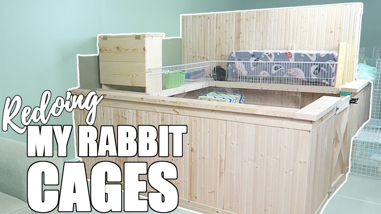 REDOING MY RABBIT ROOM!