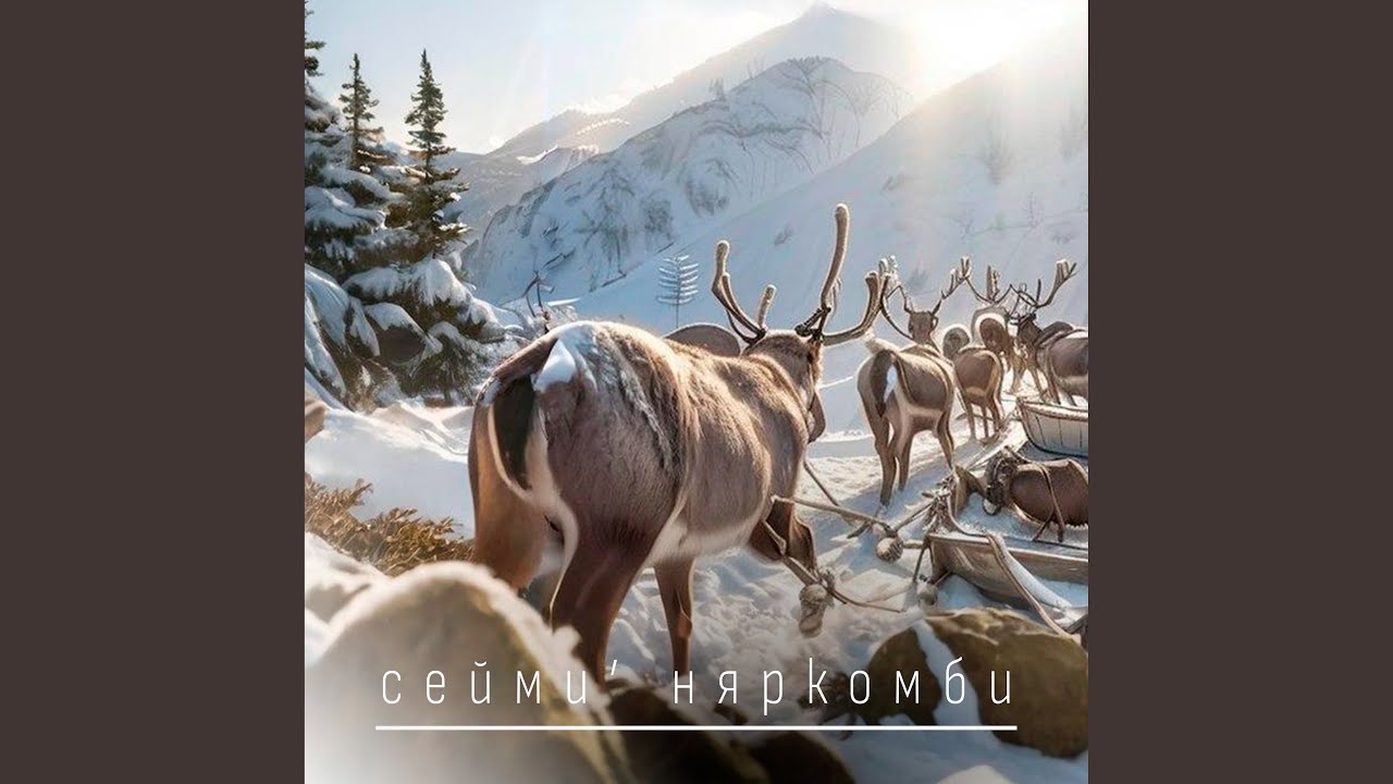 Сейми' няркомби