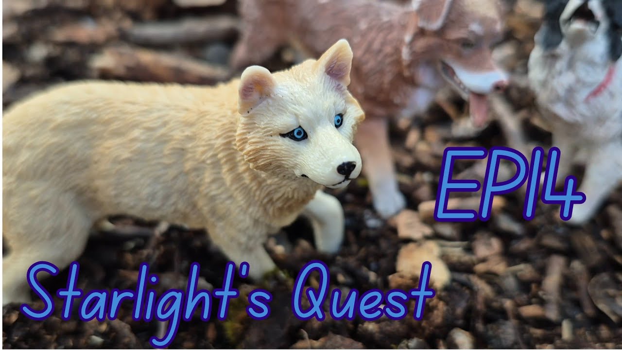 ~The SSP~ |Starlight's Quest| EP 14 Toy Wolf / Dog Series