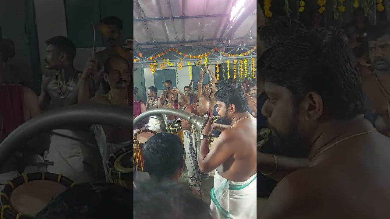 കണ്ടത്താർ കാവ് താലപ്പൊലി Jan 04, 2026, പാണ്ടിമേളം - ചൊവ്വല്ലൂർ മോഹന വാരിയർ