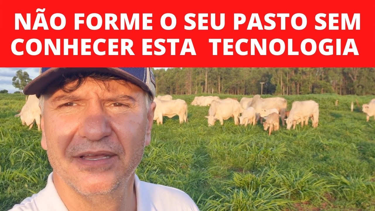 PORQUE MUITOS PECUARISTAS ESTÃO USANDO ESTA TECNOLOGIA?