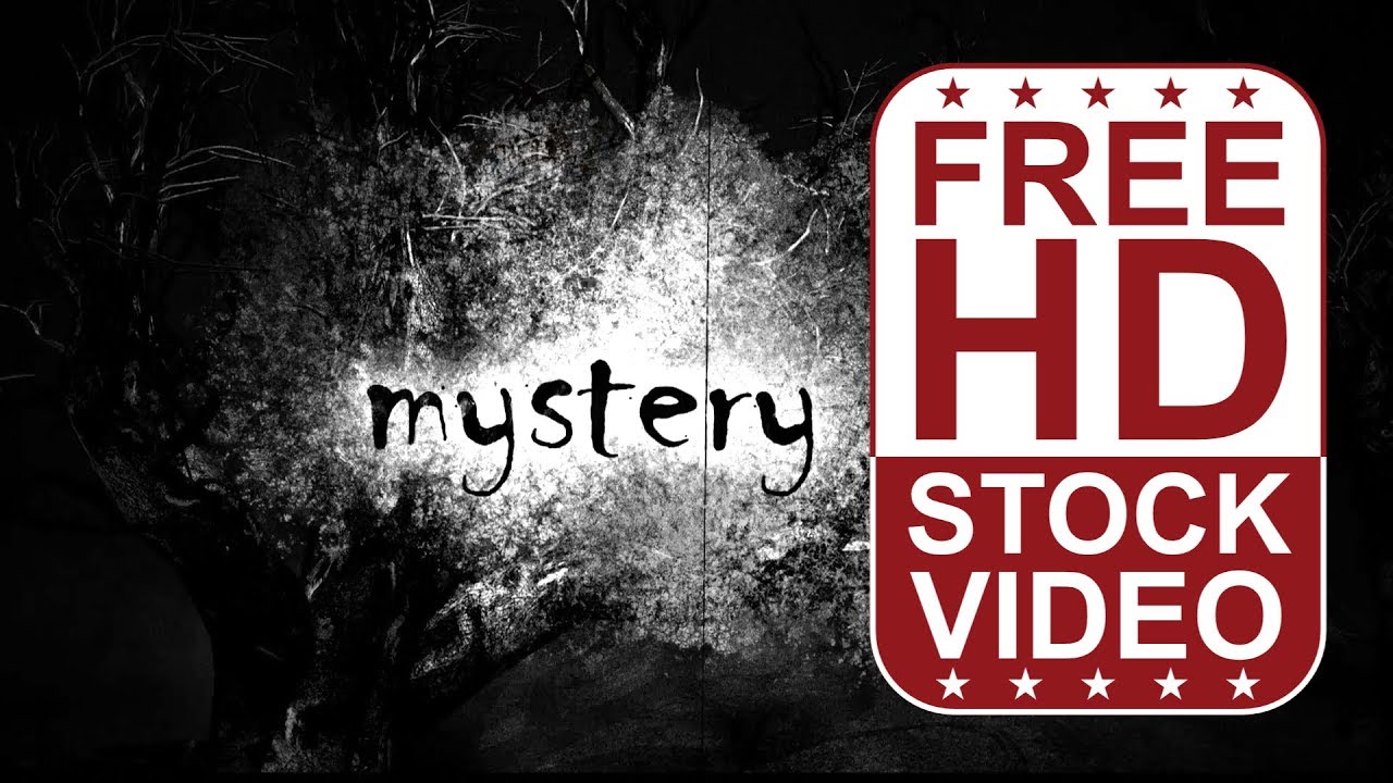 Free Stock Videos &ndash;Dark creepy forest 3D animation with title effects