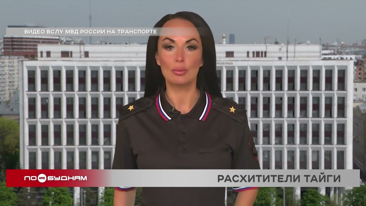Подозреваемых в контрабанде леса на 735 миллионов рублей задержали в Иркутске