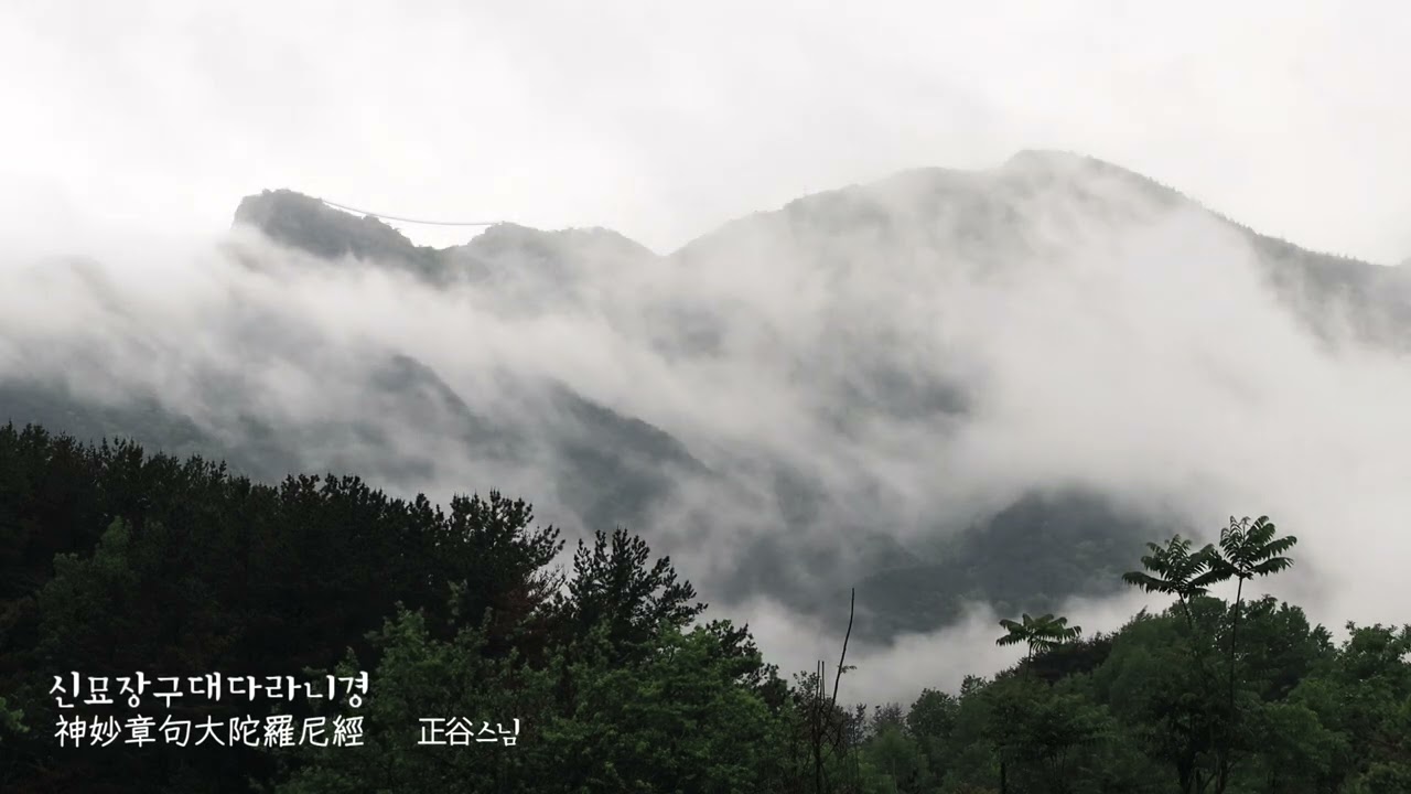 신묘장구대다라니경/정곡스님