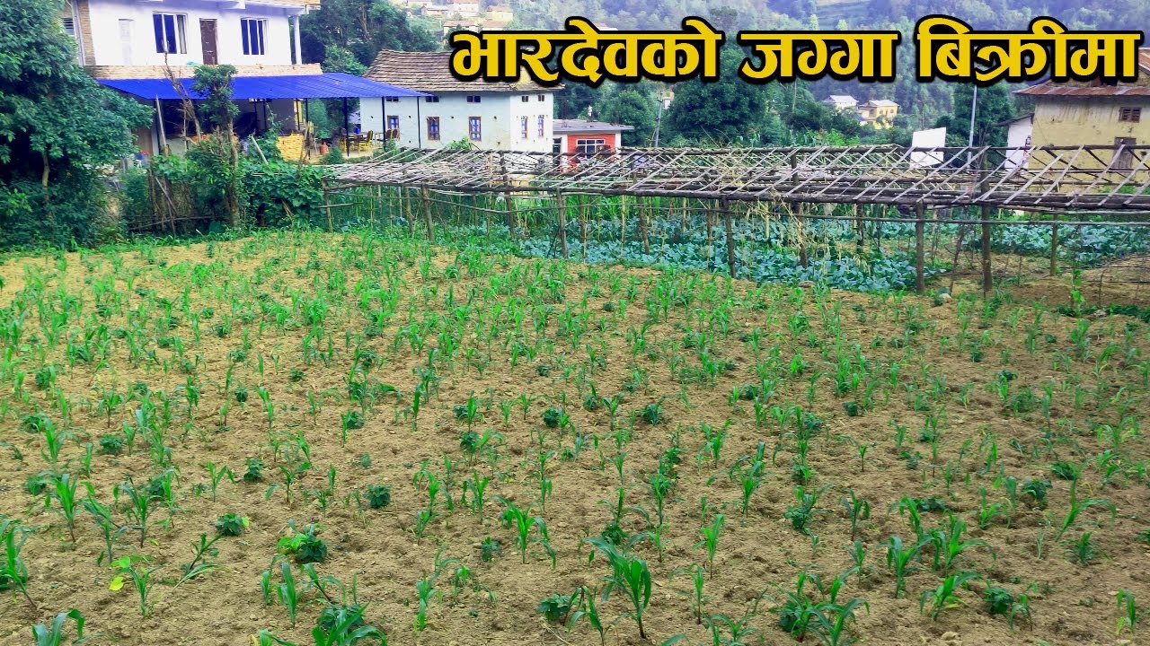 भारदेवको जग्गा बिक्रीमा ।  Land on sale at Bhardev, Lalitpur.