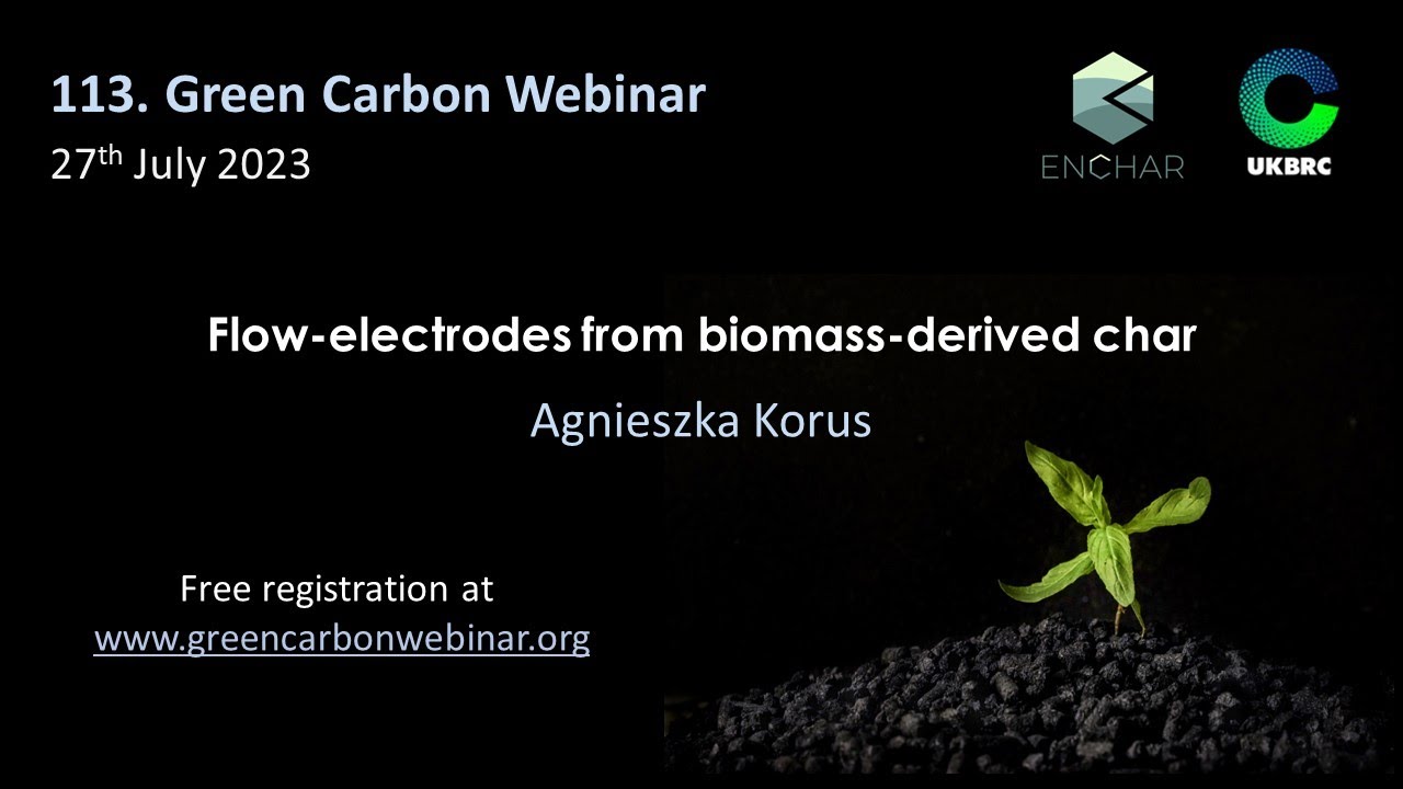 113.Green Carbon Webinar - Flow-electrodes from biomass-derived char