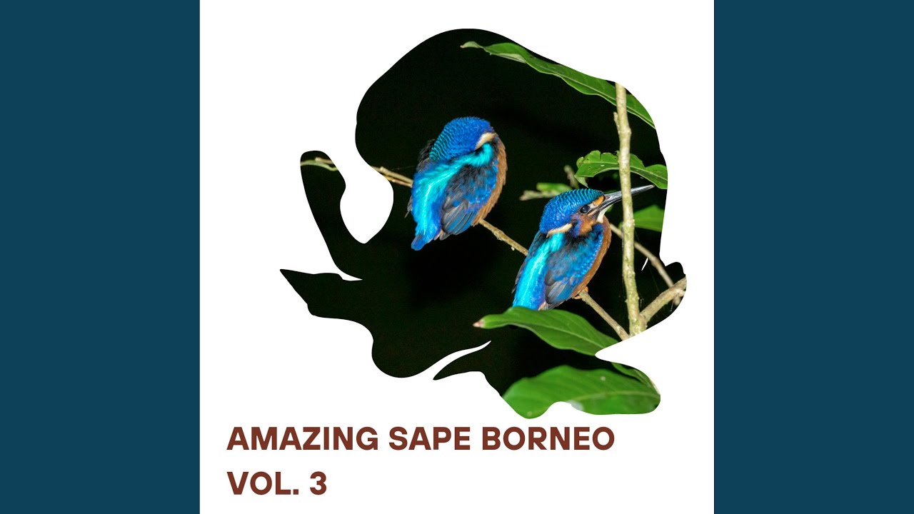 Amazing Sape Borneo, Vol. 3