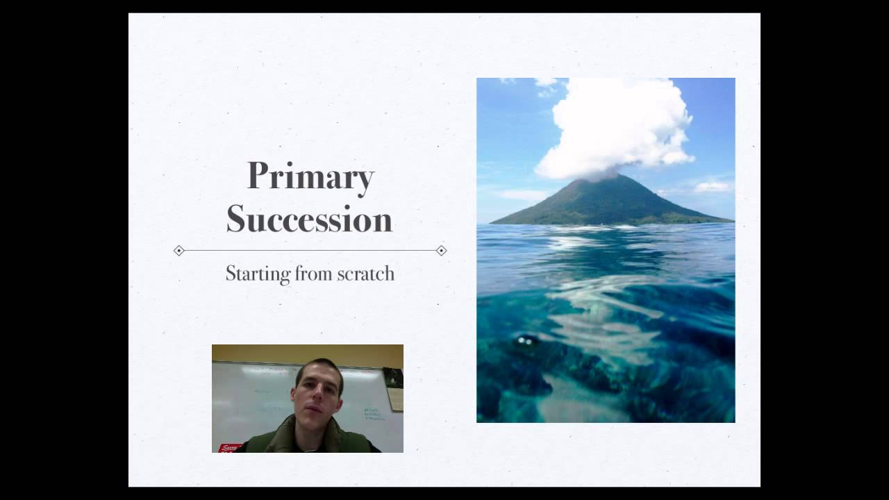 Disturbance and Ecological Succession