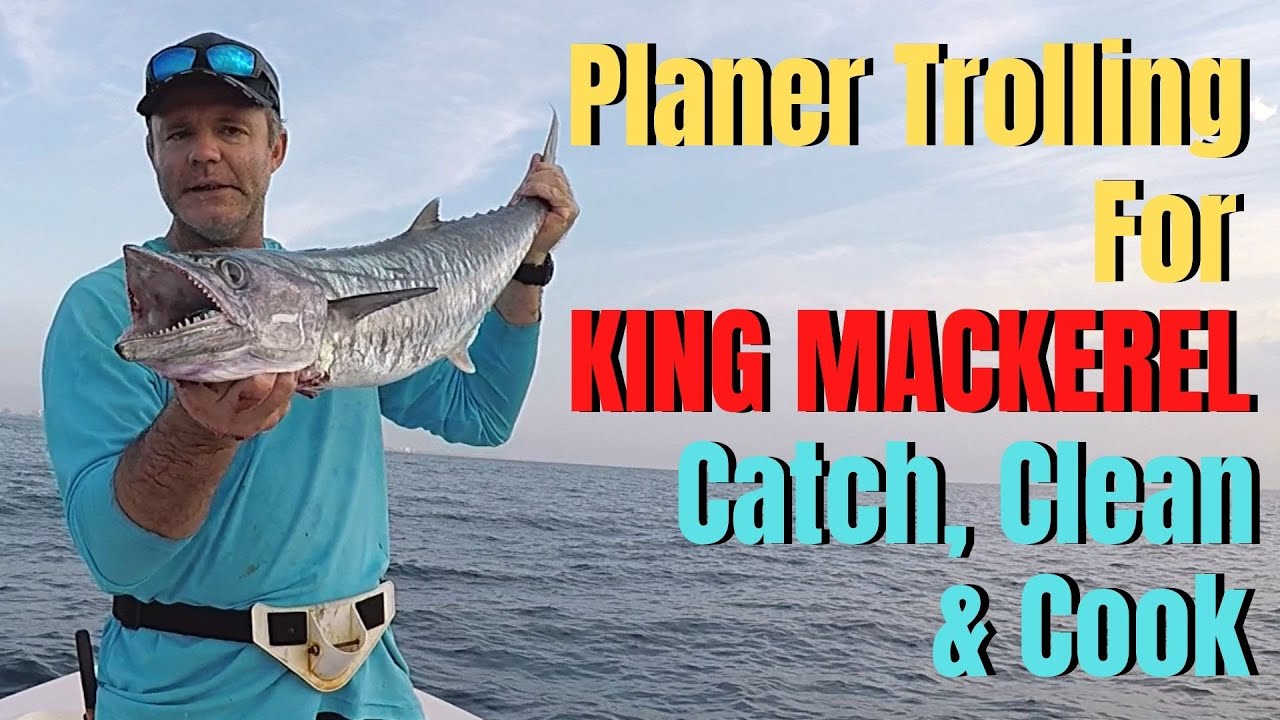 Planer Trolling for KING MACKEREL Catch Clean Cook